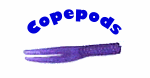 Copepods